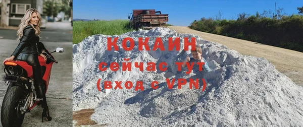 крисы Белоозёрский
