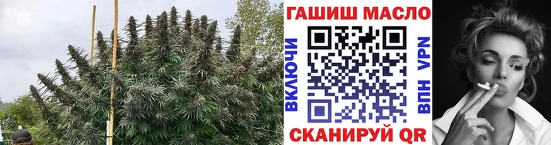 ТГК вейп  что такое   Волжск 